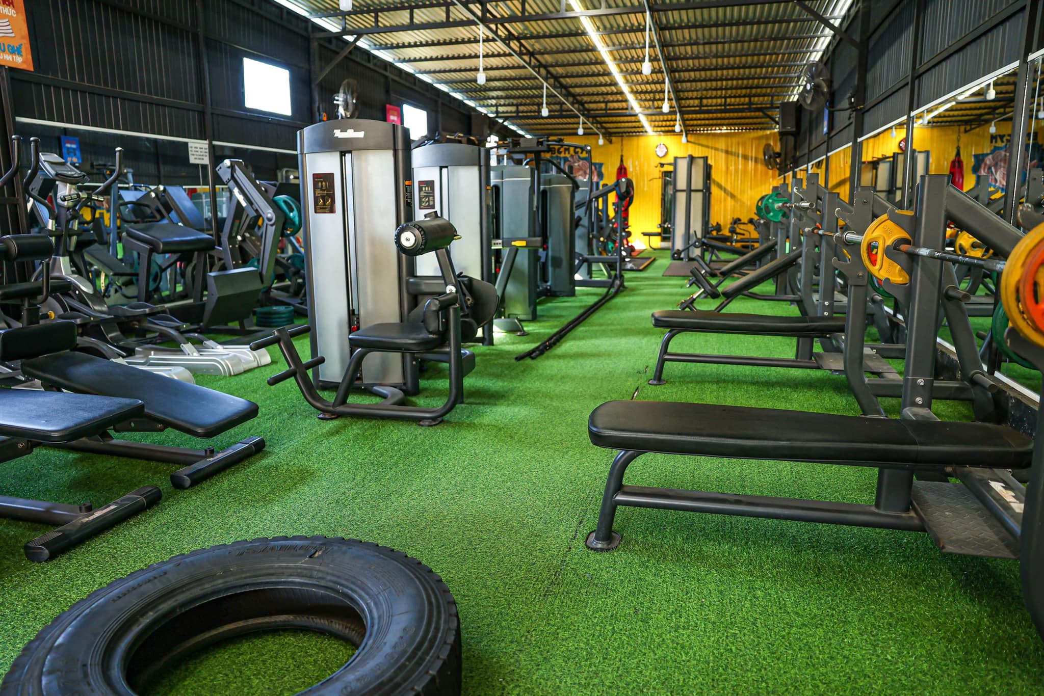 BỜM GYM ảnh 2