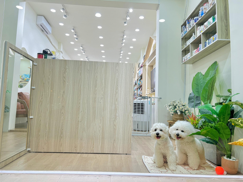 Chu’s Pet Store - Pet Grooming & Pet Hotel ảnh 2