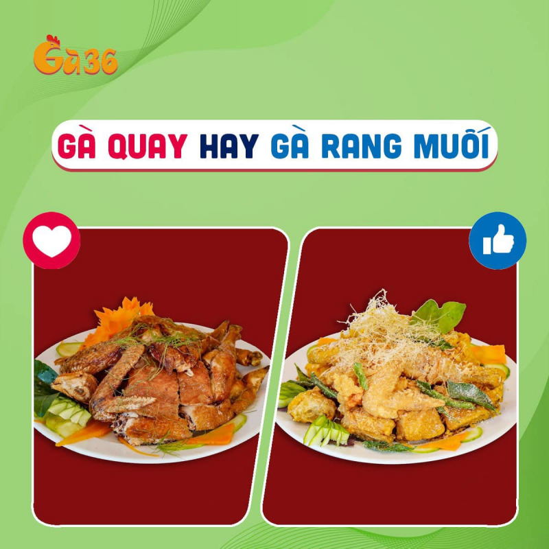 Gà36 ảnh 1