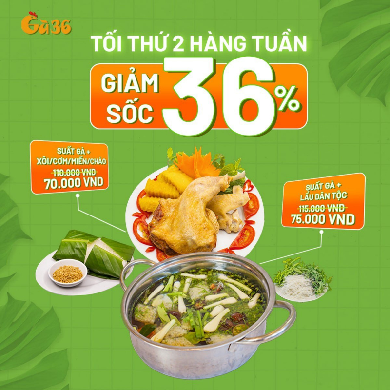 Gà36 ảnh 2