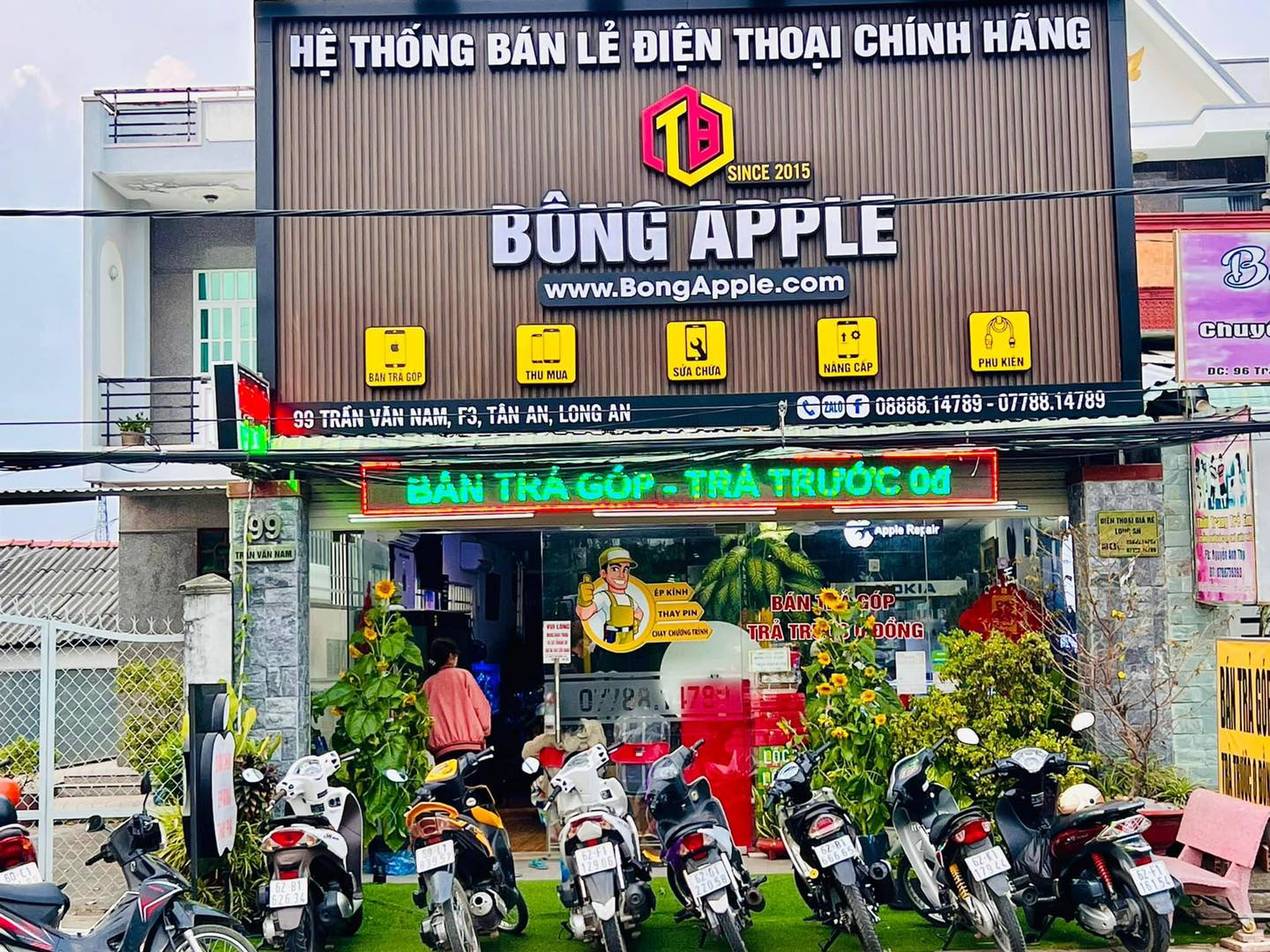 BÔNG APPLE ảnh 1