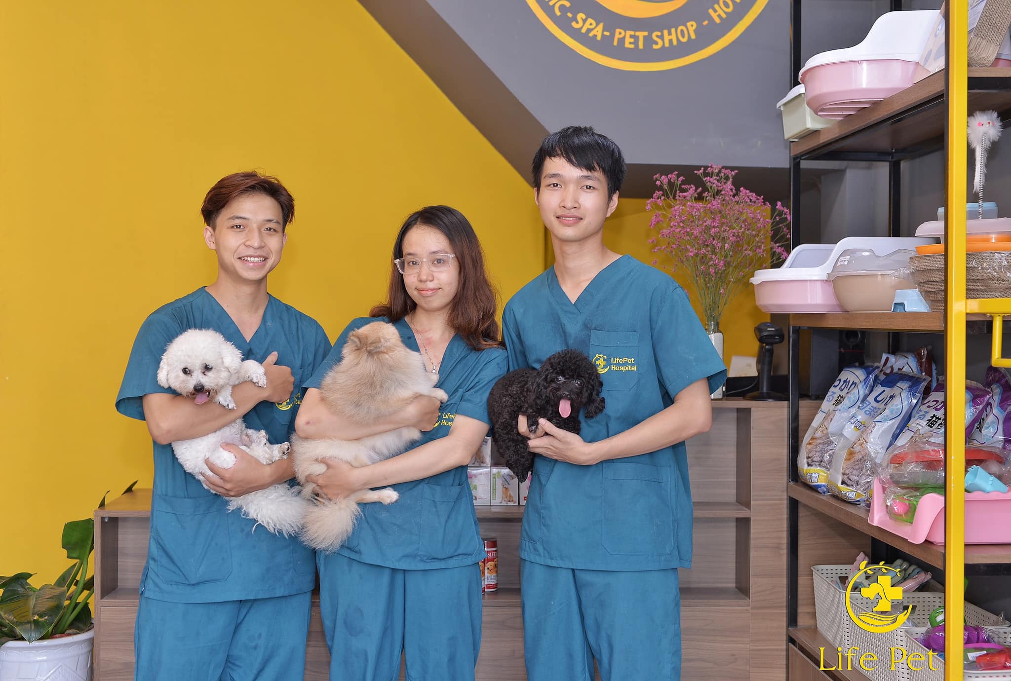 Bệnh Viện Thú Y Lifepet ảnh 1