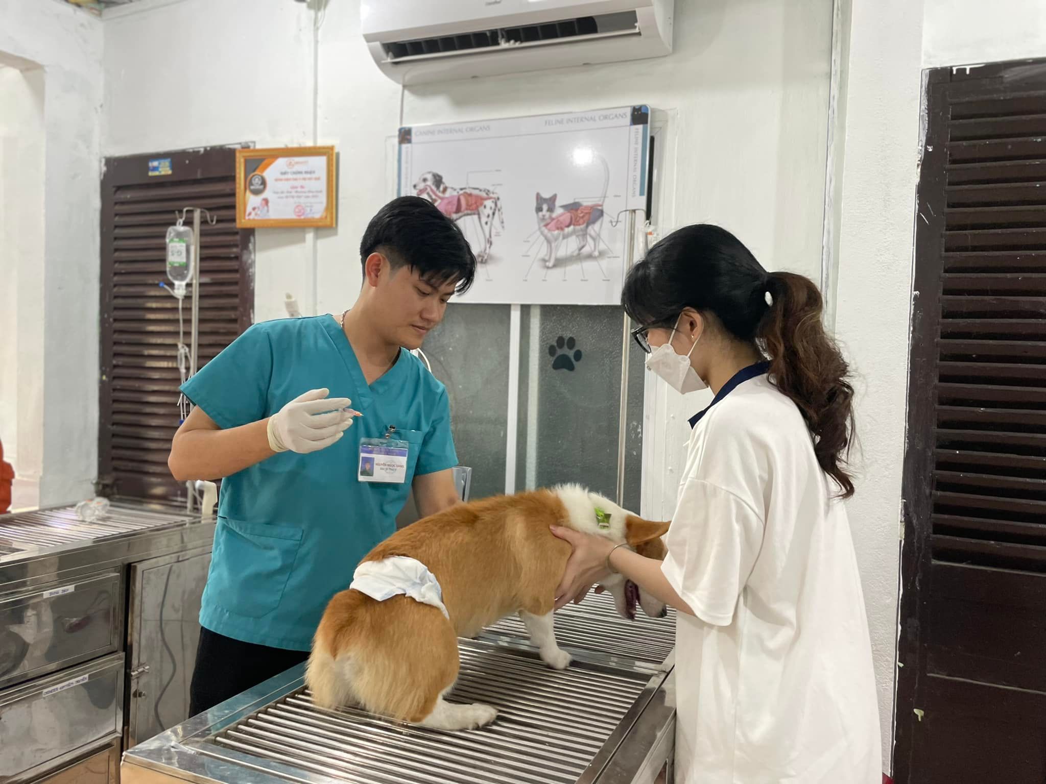 Bệnh Viện Thú Y MB Vet Huế ảnh 1