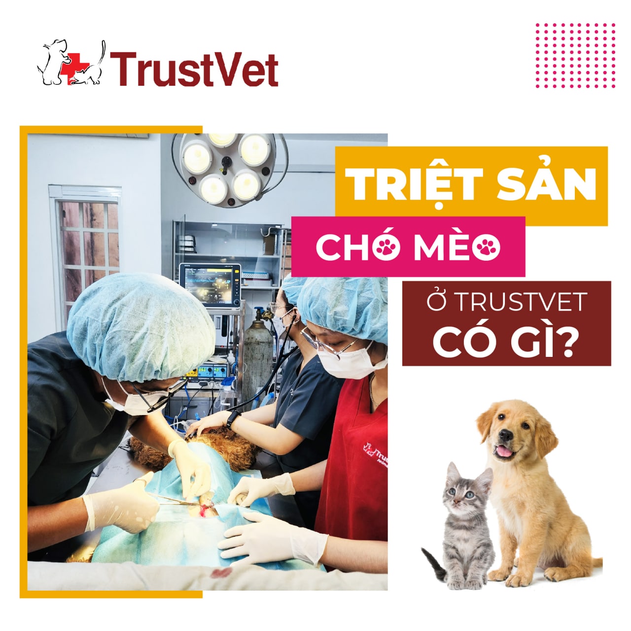 Bệnh Viện Thú Y TrustVet ảnh 2