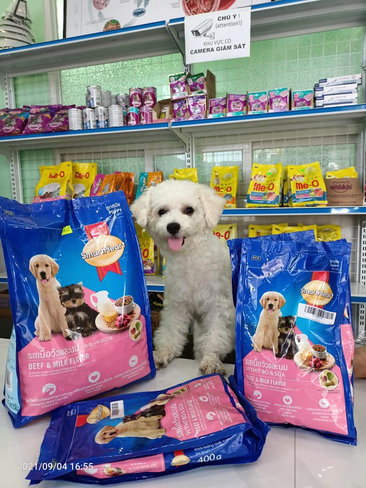 Bệnh viện thú y & Petshop OKADA ảnh 3