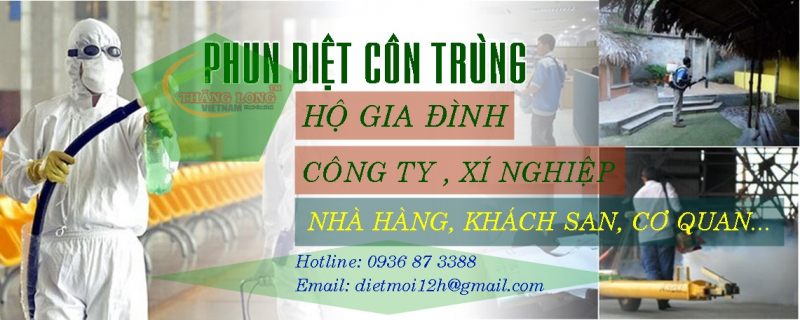 CÔNG TY TRỪ MỐI CÔN TRÙNG VN THĂNG LONG ảnh 1