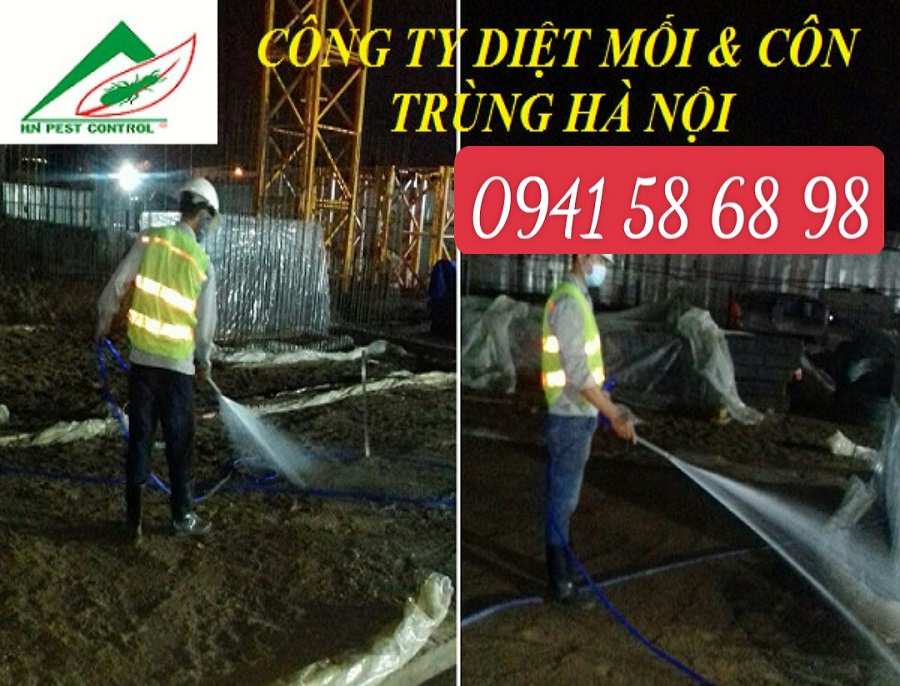 Công Ty Diệt Mối Và Côn Trùng Hà Nội ảnh 1