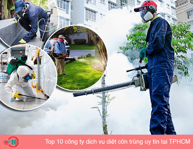 Công Ty TNHH DV TM VN Thăng Long ảnh 1