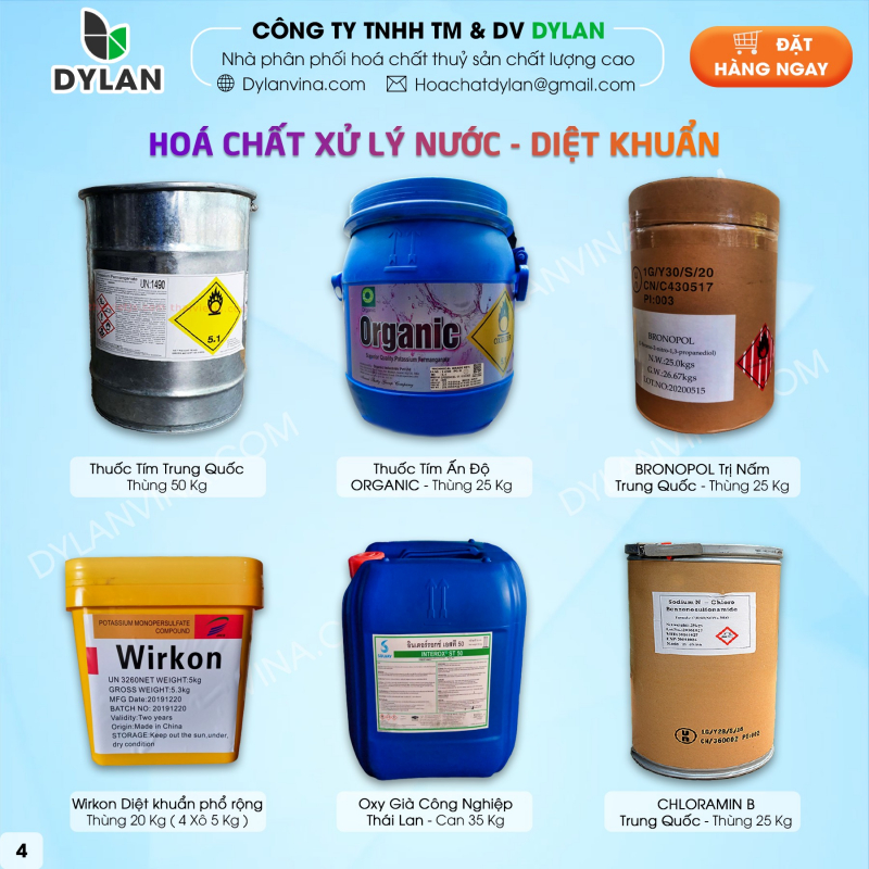 Công Ty TNHH Thương Mại Và Dịch Vụ DYLAN ảnh 1