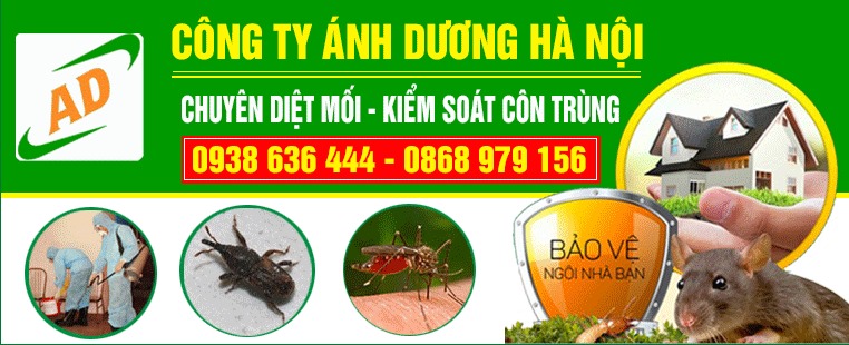 Công ty Cổ Phần Ánh Dương Hà Nội ảnh 1