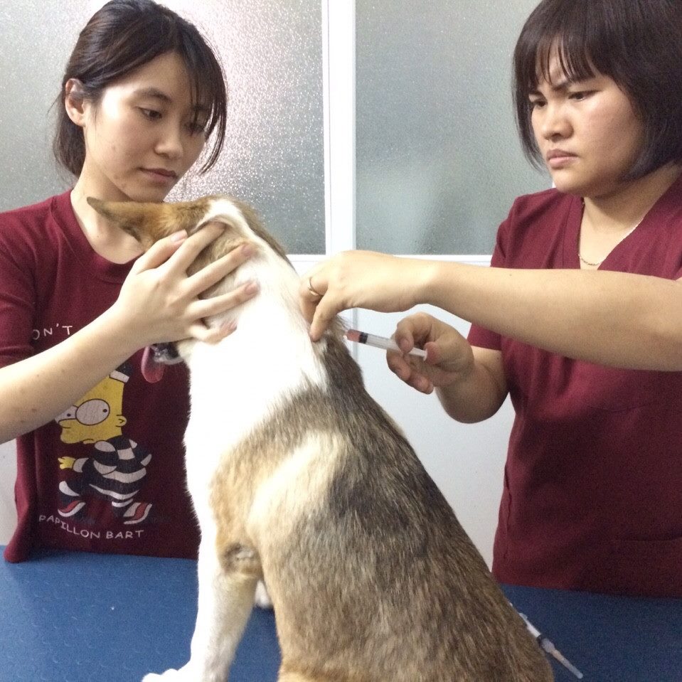 Phòng Khám Thú Y Happy Pet Clinic ảnh 1