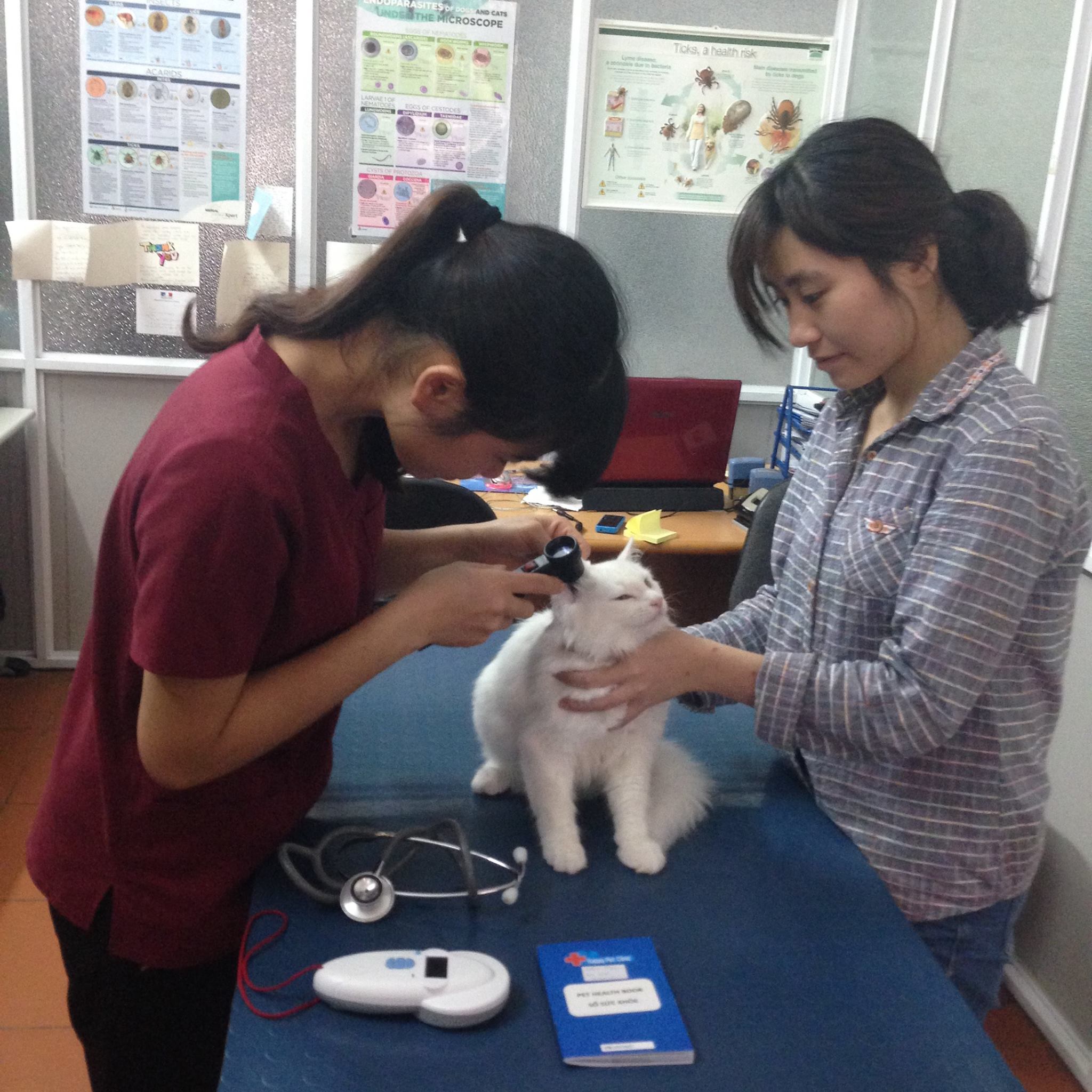 Phòng Khám Thú Y Happy Pet Clinic ảnh 2