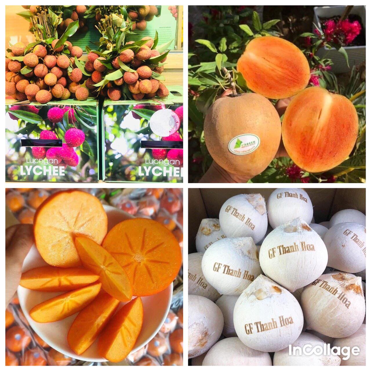 Hoa quả sạch Goldfruit ảnh 2