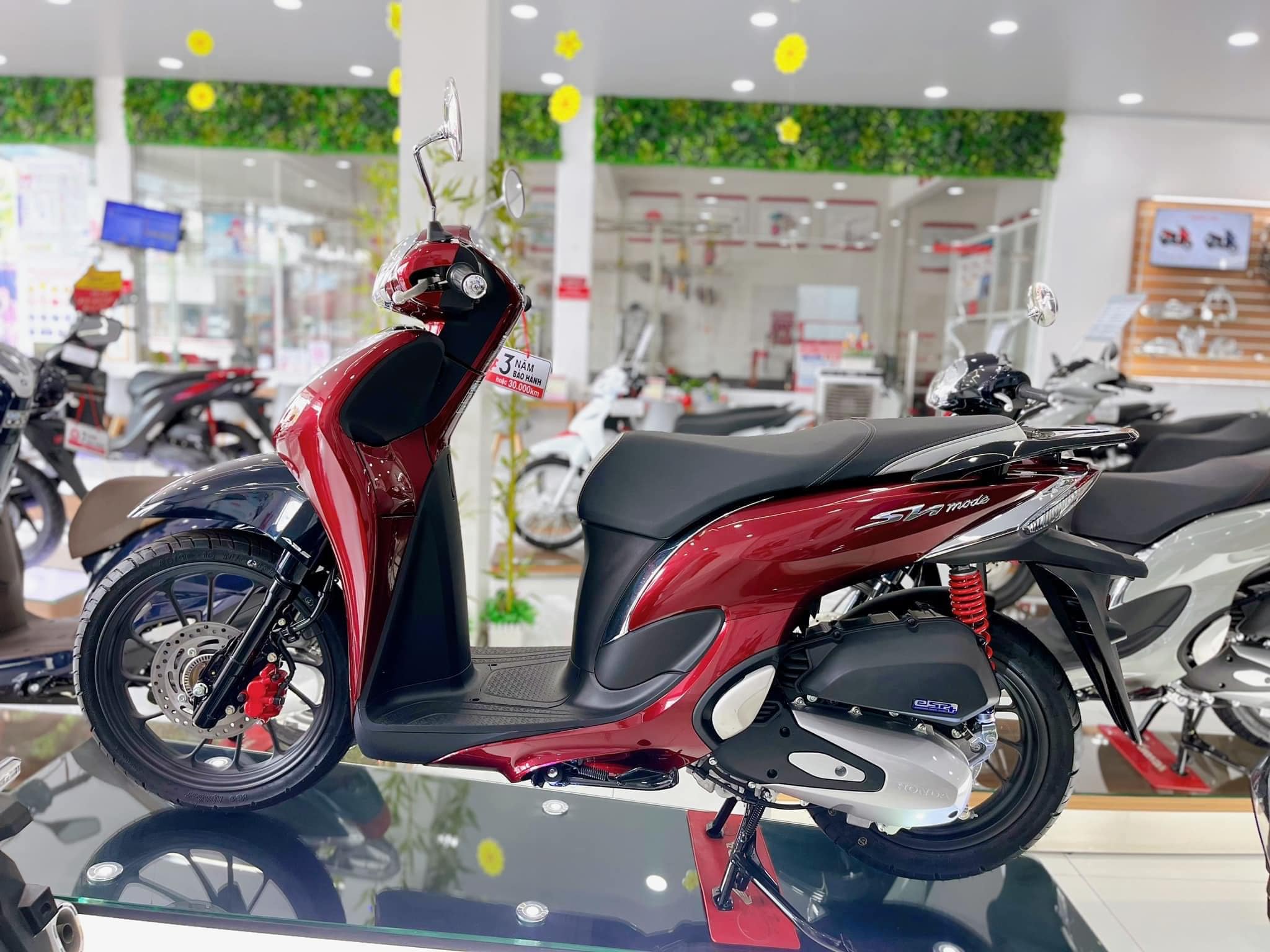 Honda Thu Vân ảnh 1