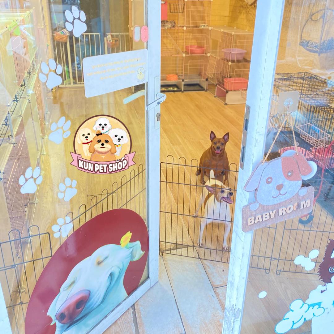 Kun Pet Shop ảnh 1