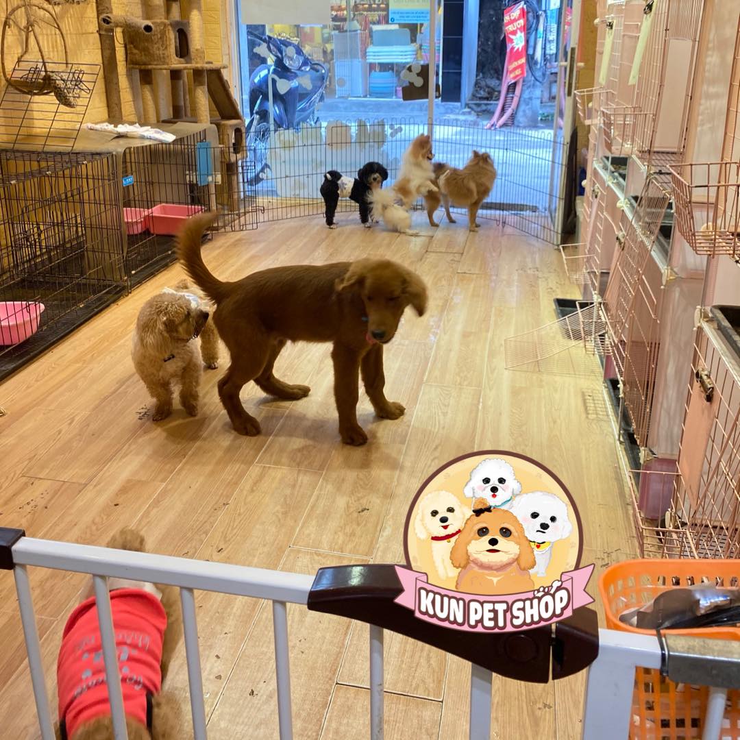 Kun Pet Shop ảnh 2