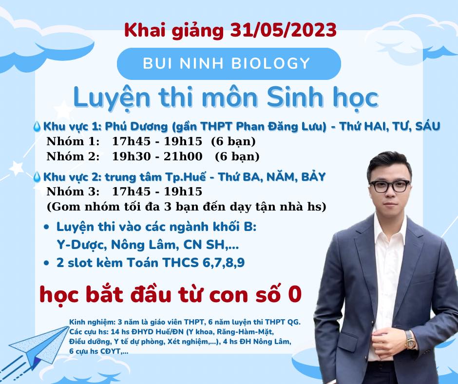 Lớp học Thầy Ninh ảnh 1