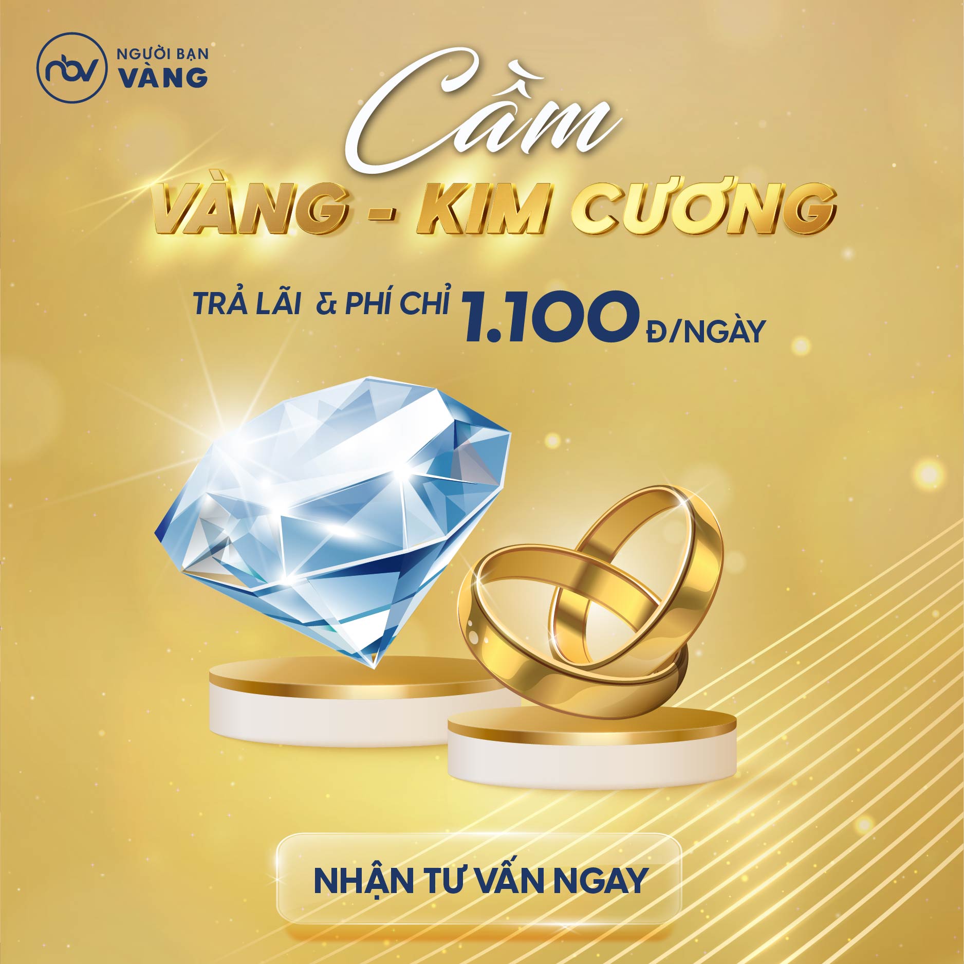 Người Bạn Vàng ảnh 1