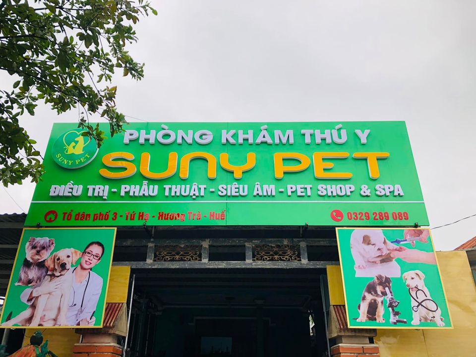 Phòng Khám Thú Y SUNY PET ảnh 1