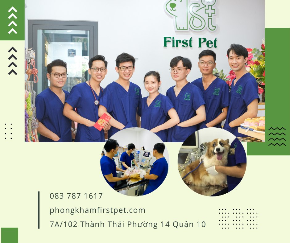 Phòng khám Thú Y First Pet ảnh 1