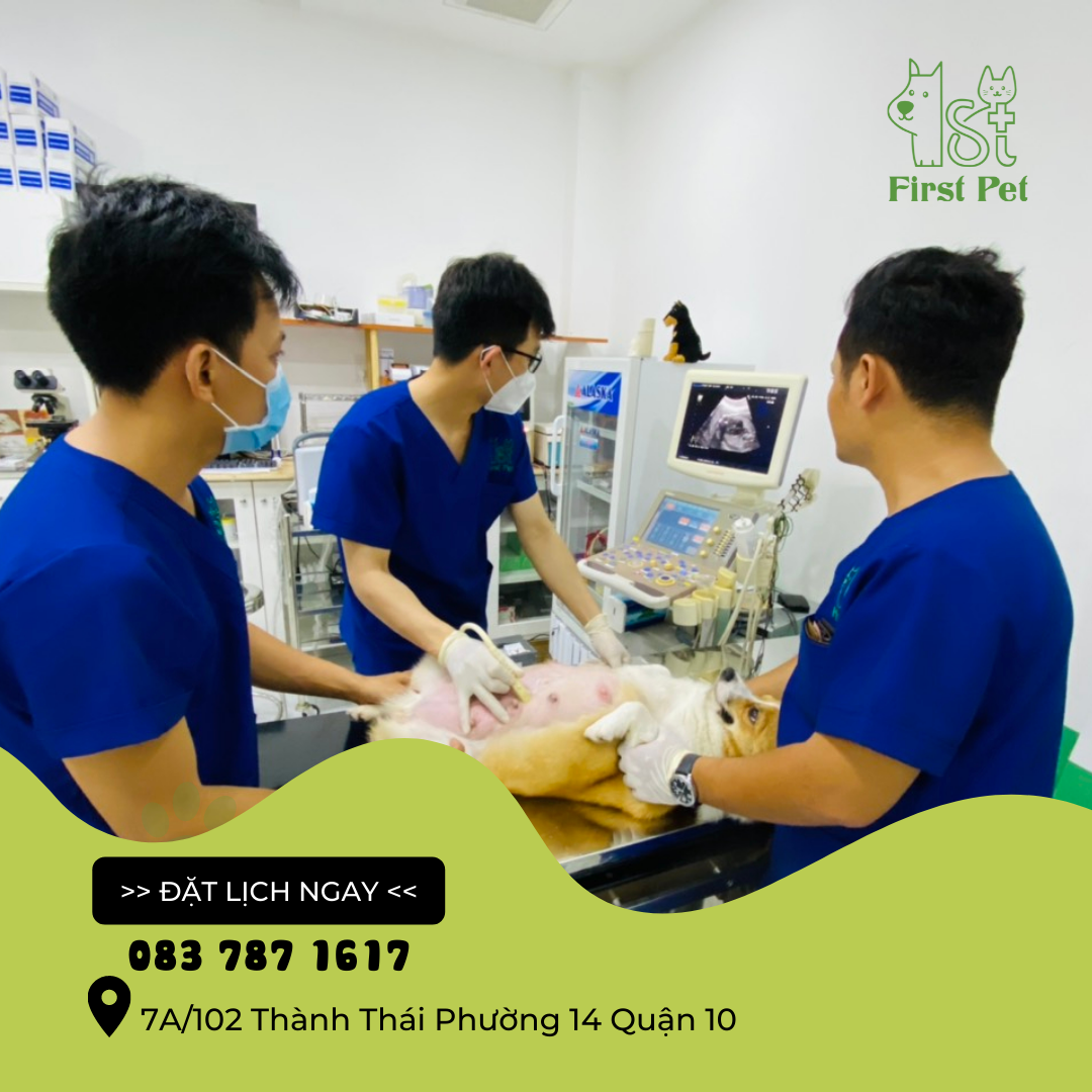 Phòng khám Thú Y First Pet ảnh 2