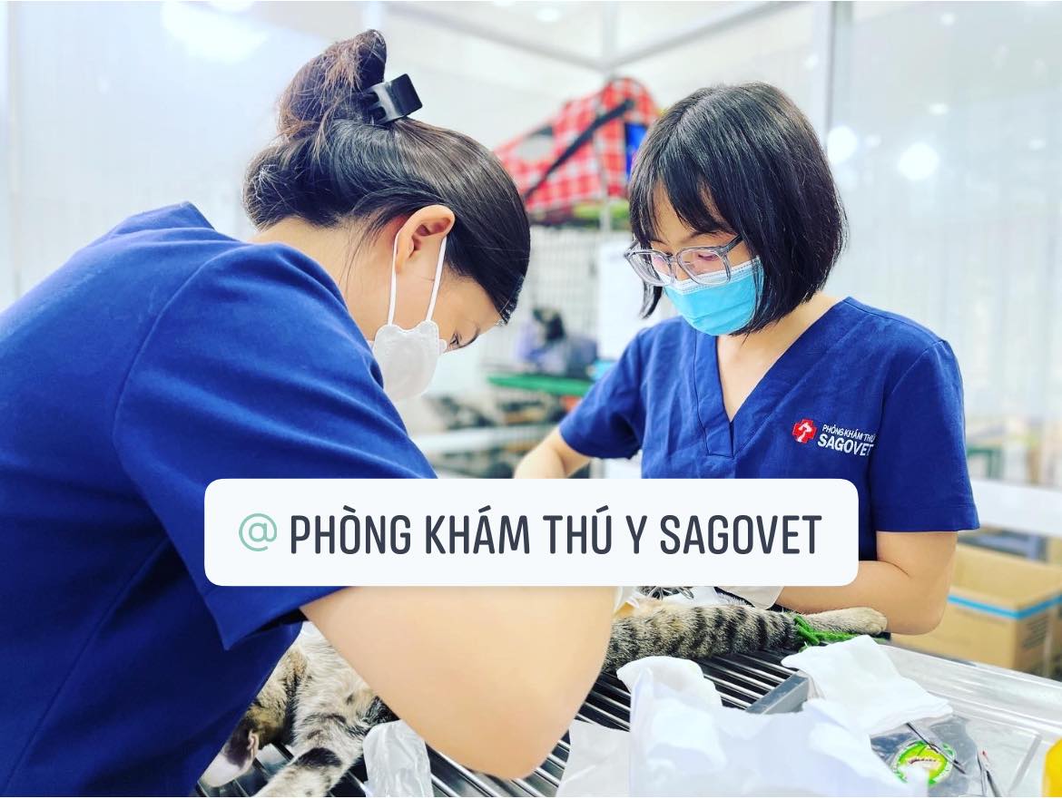 Phòng khám Thú Y Sagovet ảnh 2