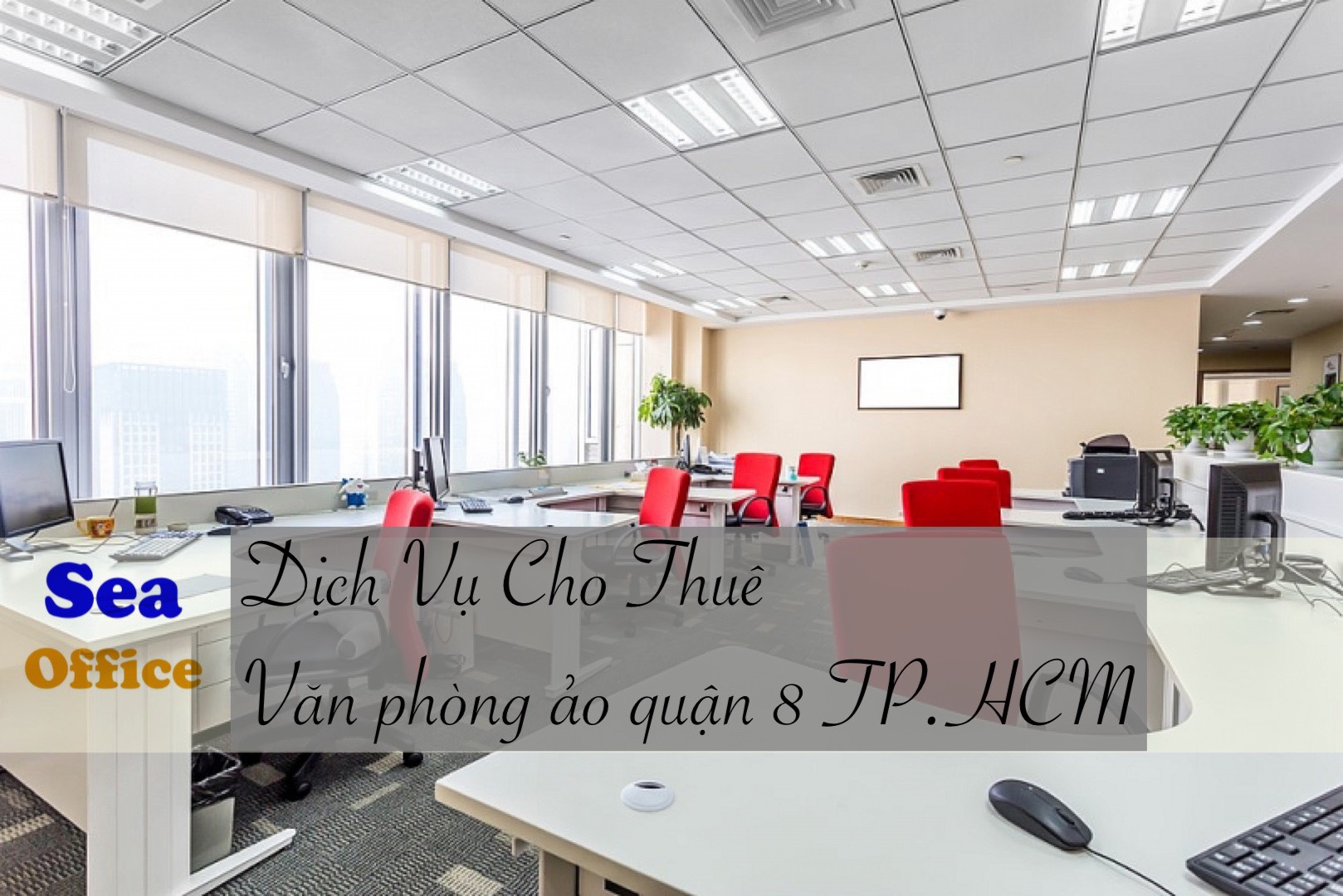 SEA OFFICE ảnh 1