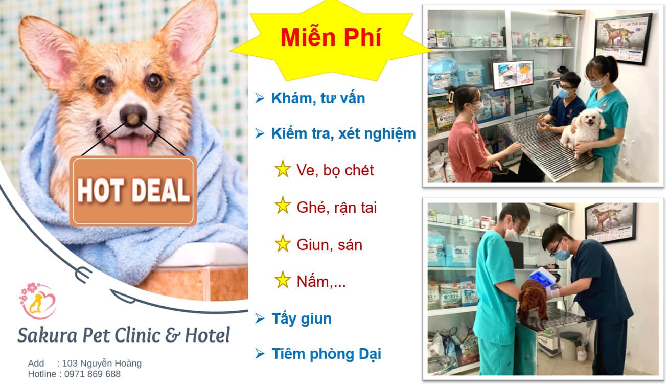 Sakura Pet Clinic & Hotel ảnh 1