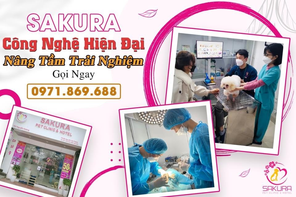 Sakura Pet Clinic & Hotel ảnh 2