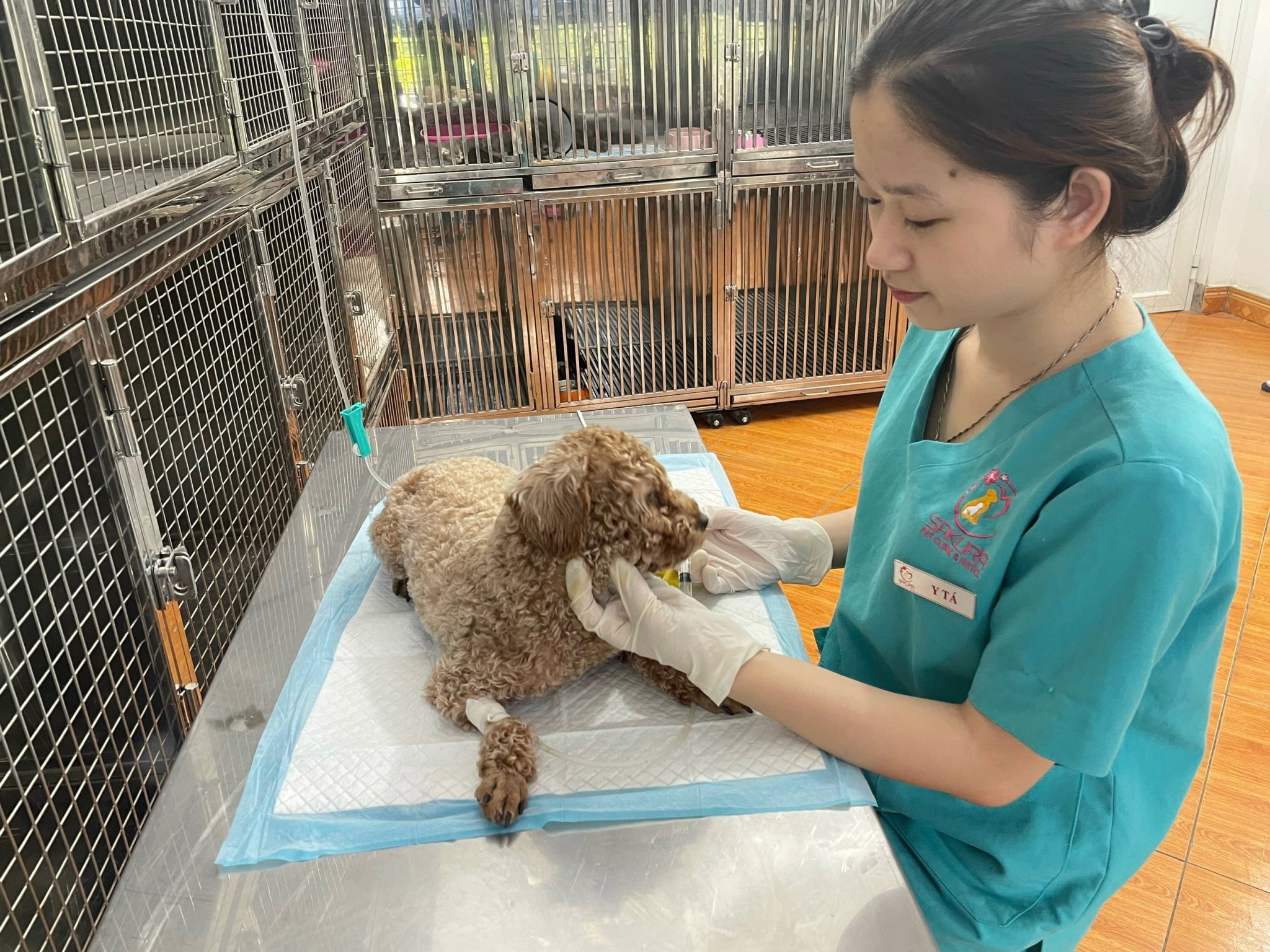 Sakura Pet Clinic & Hotel ảnh 3