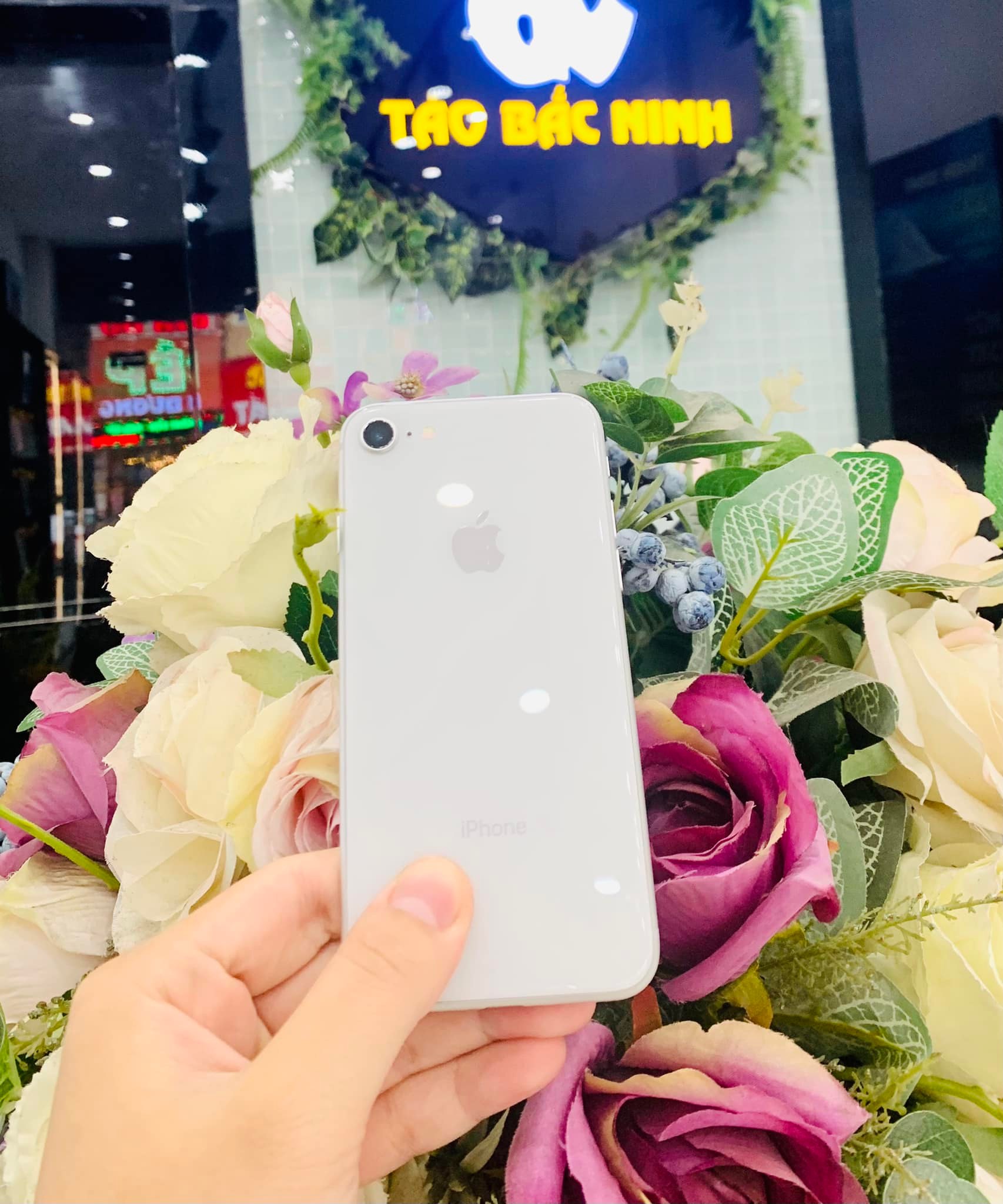 Táo Bắc Ninh ảnh 2