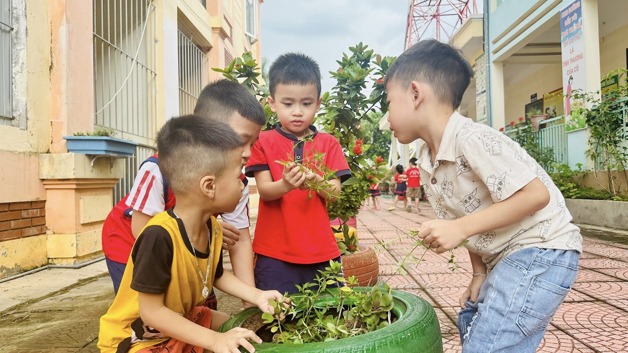 Trường Mần Non Hoa Mai ảnh 2