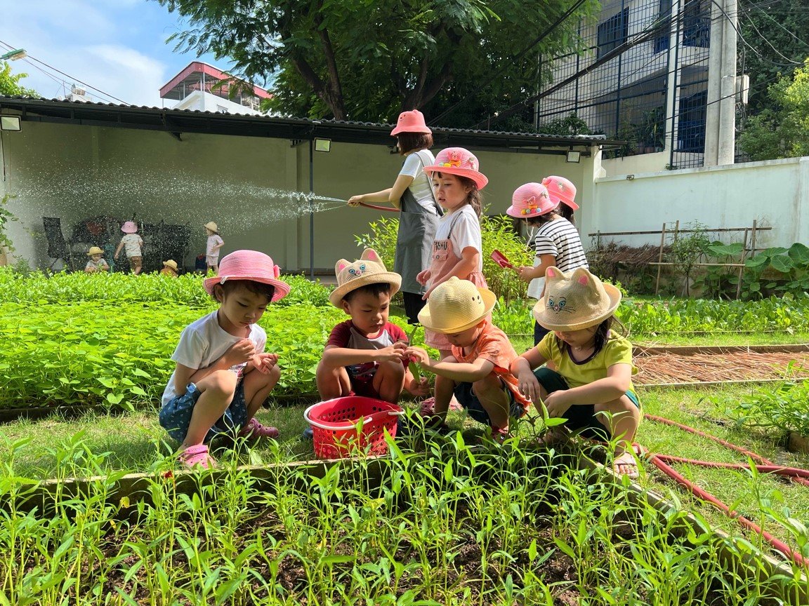 Trường mầm non KinderLand ảnh 3