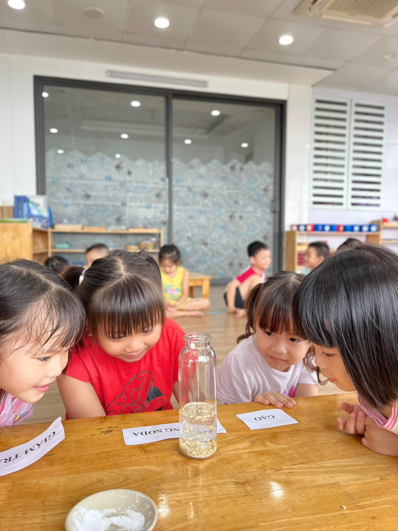 Trường mầm non Neverland Montessori ảnh 2