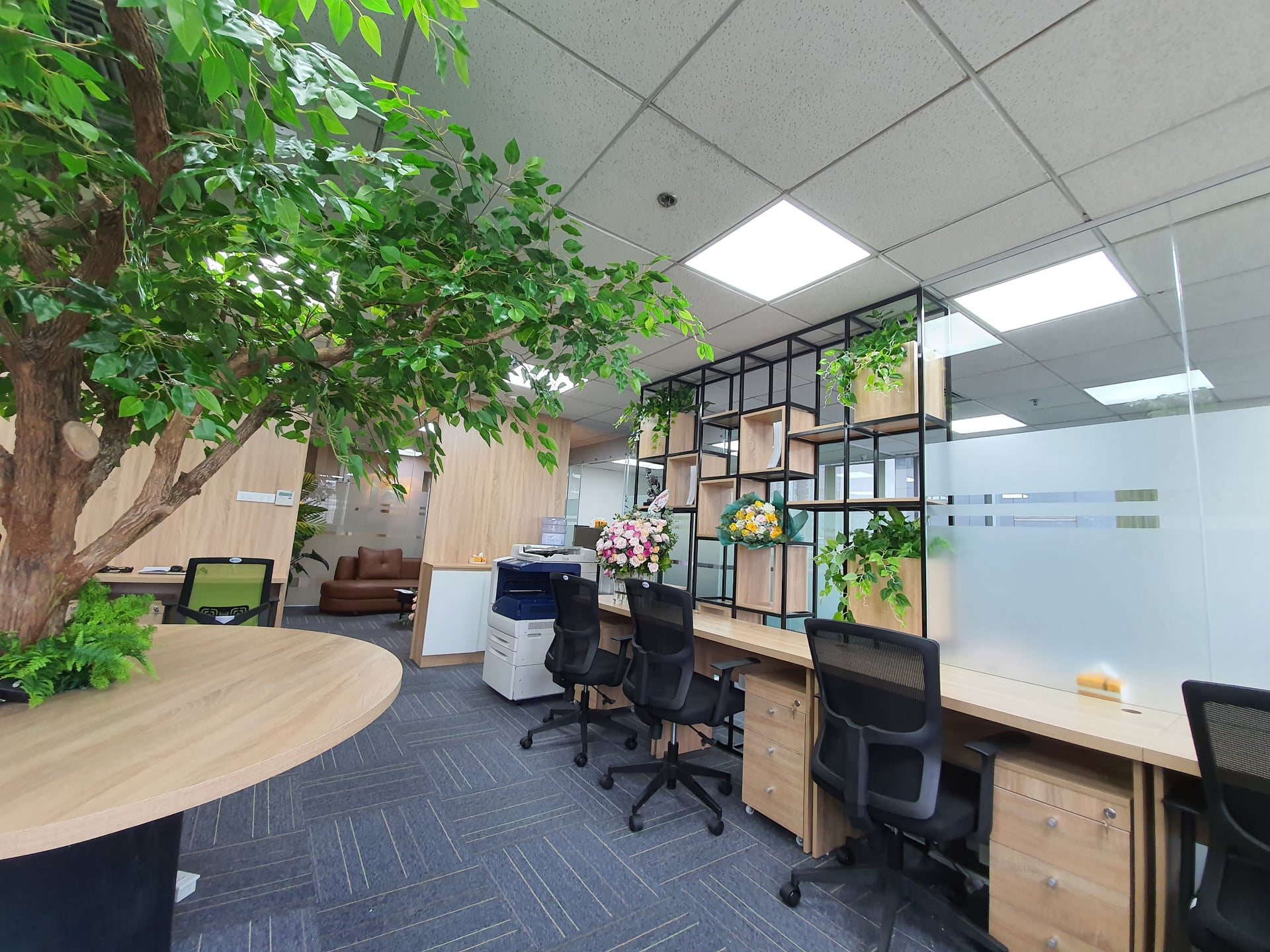 Zen Office ảnh 2