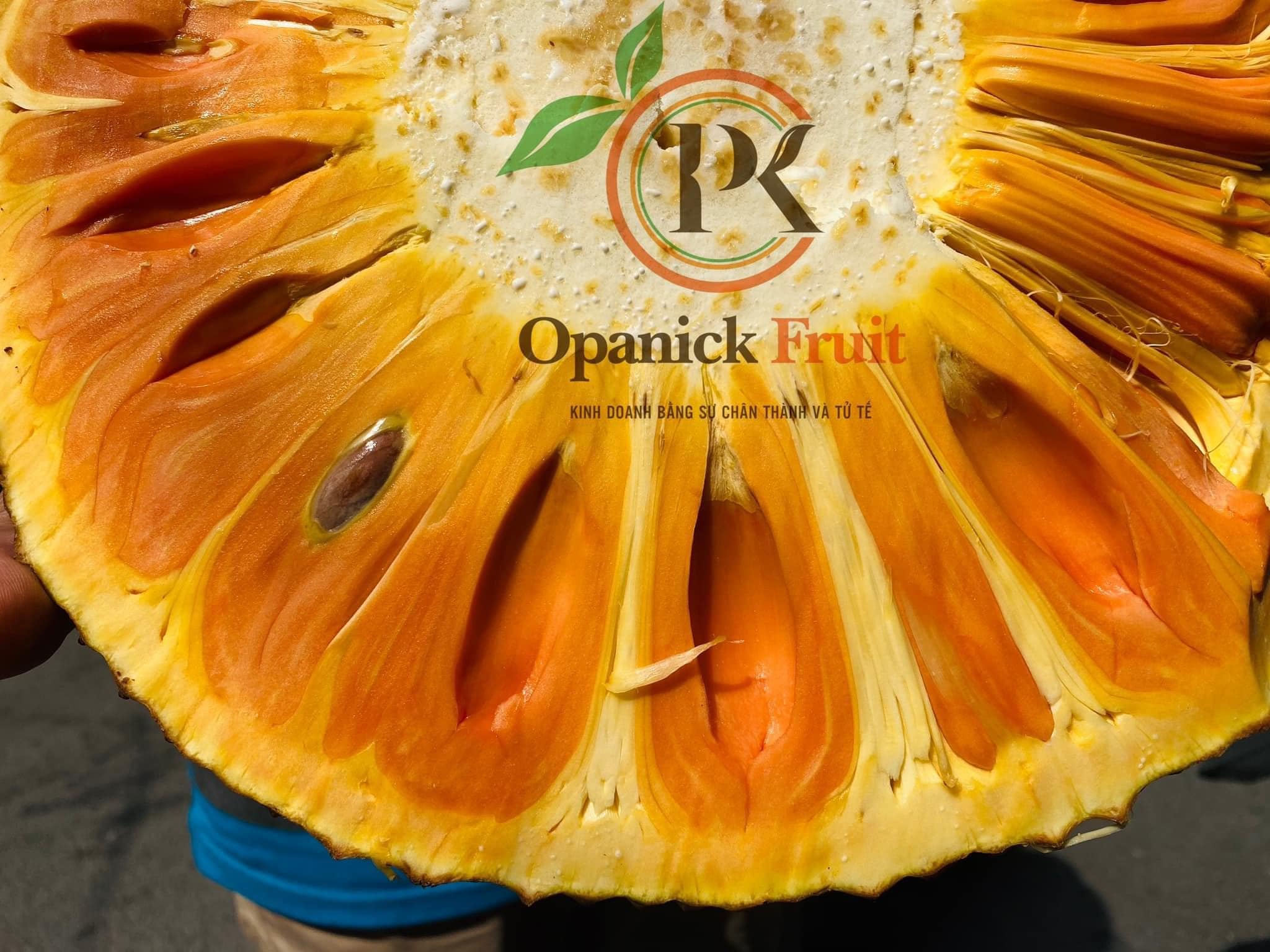 Opanick fruit ảnh 3