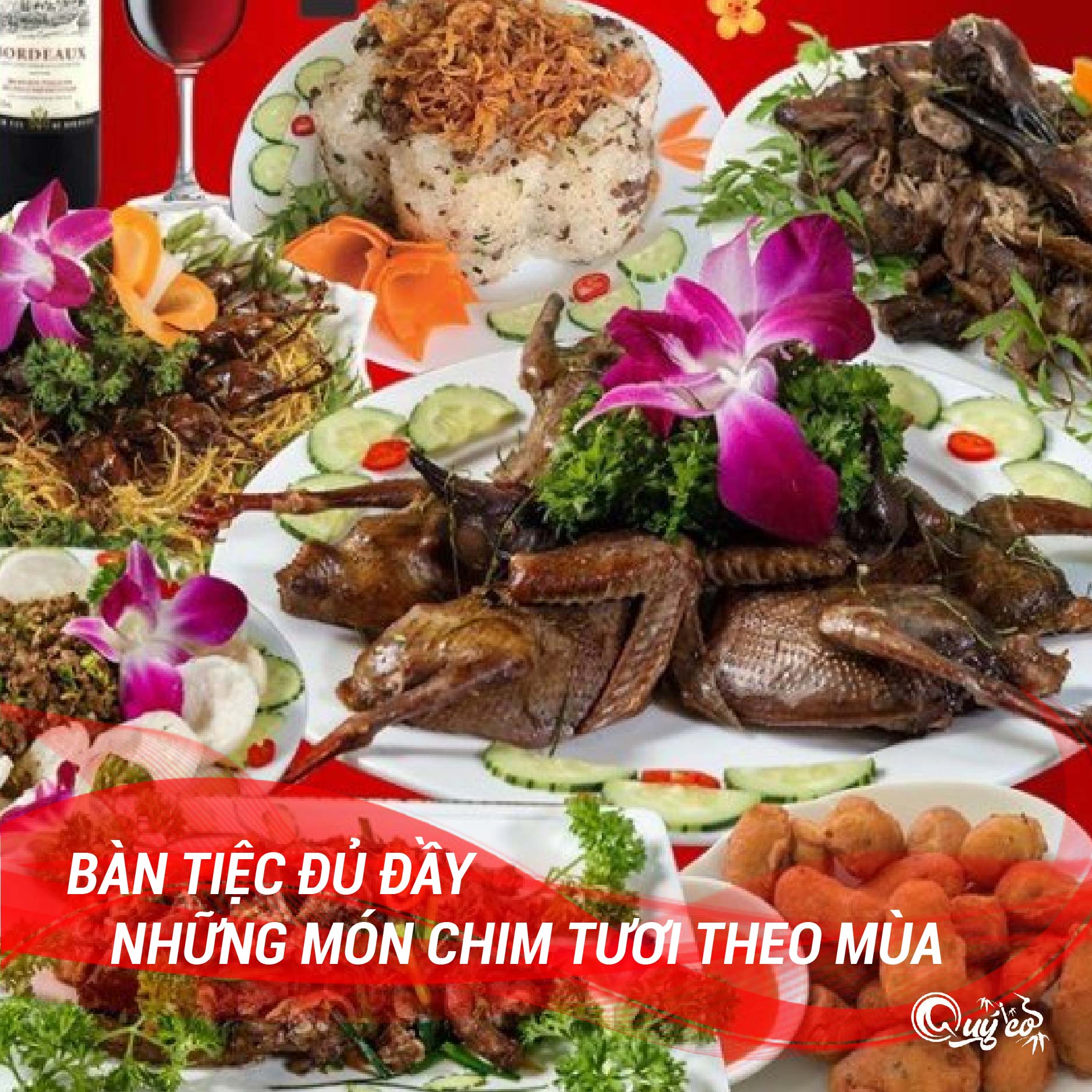 Quý Cò - Chim To Dần ảnh 2