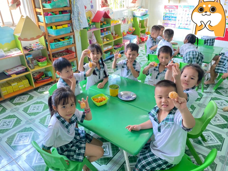 Trường Mầm Non Việt Mỹ - Montessori ảnh 1