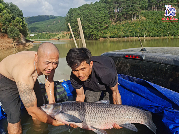 Hồ Câu Cá Tà Nung ảnh 2