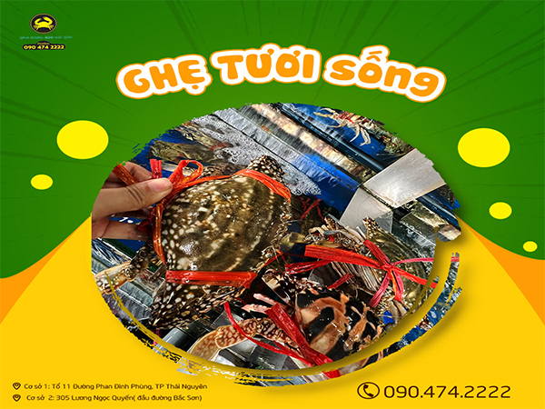 Ghẹ tươi sống ảnh 2