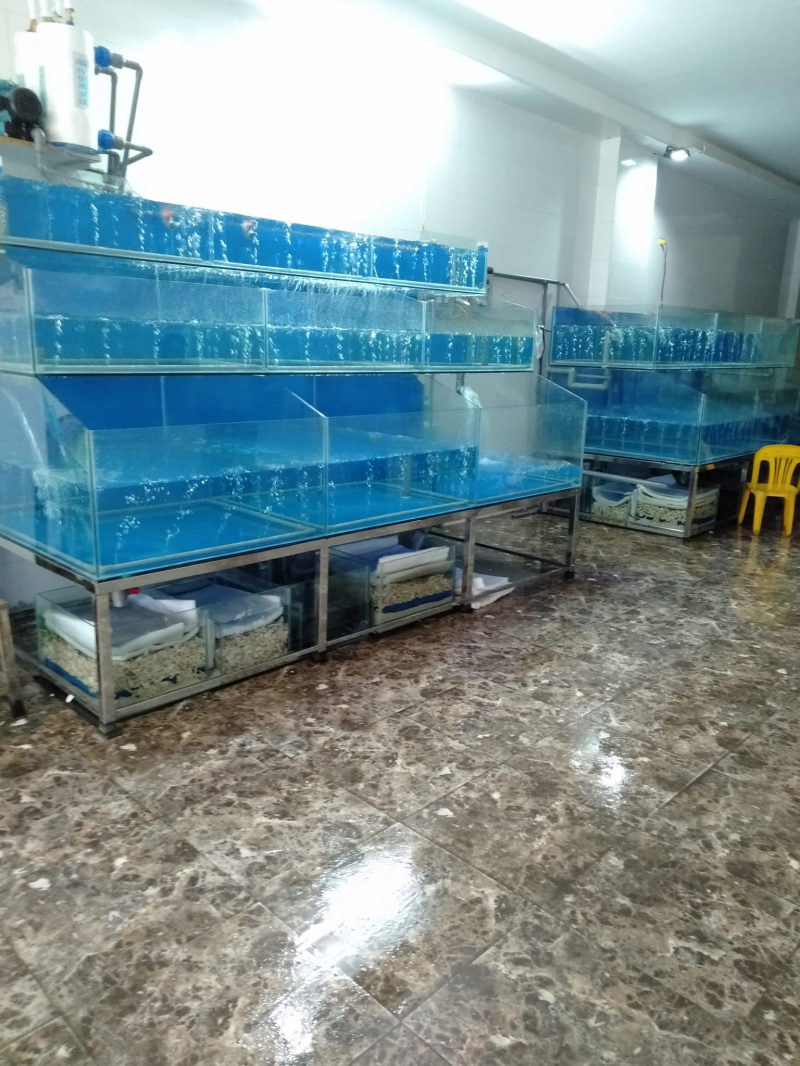 Bể cá hải sản Chung Anh ảnh 1