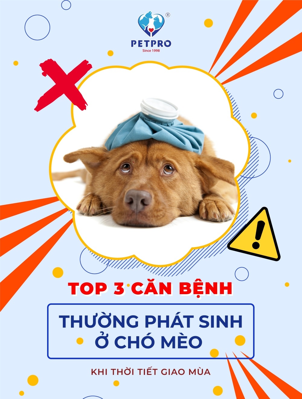 Phòng khám thú y uy tín nhất quận Bình Tân, TP. HCM