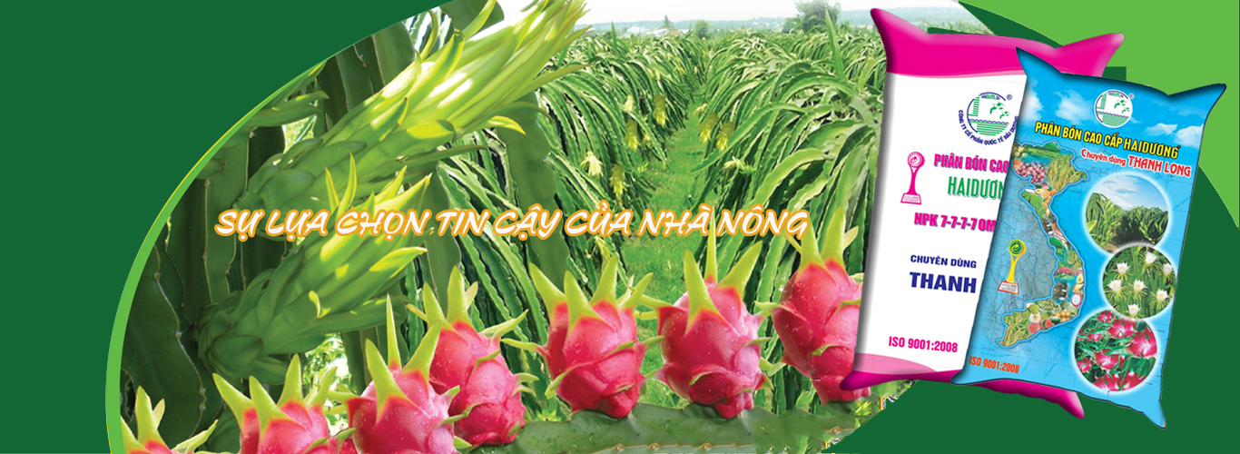 Công Ty CP Quốc Tế Hải Dương ảnh 3