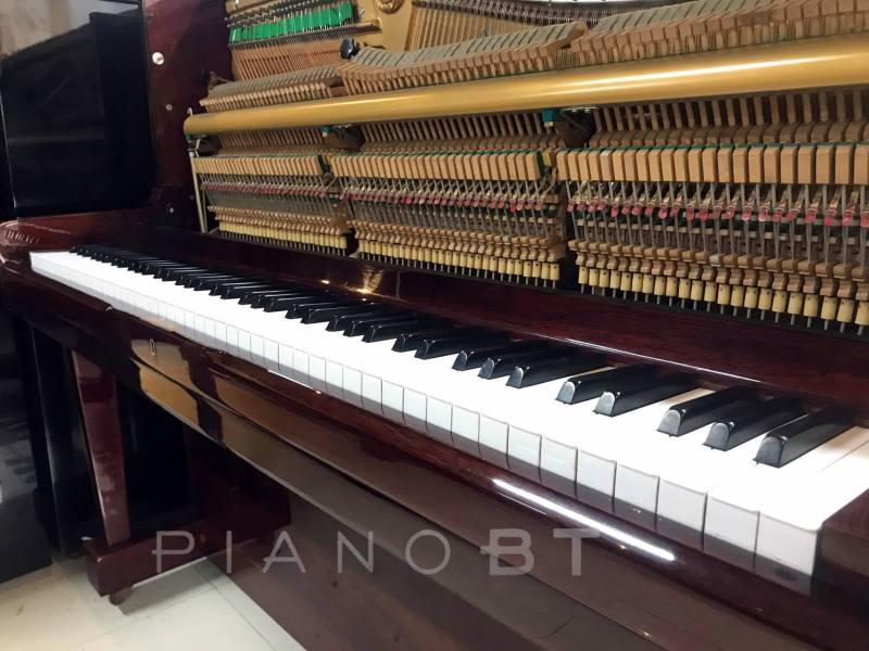 Piano BT ảnh 1