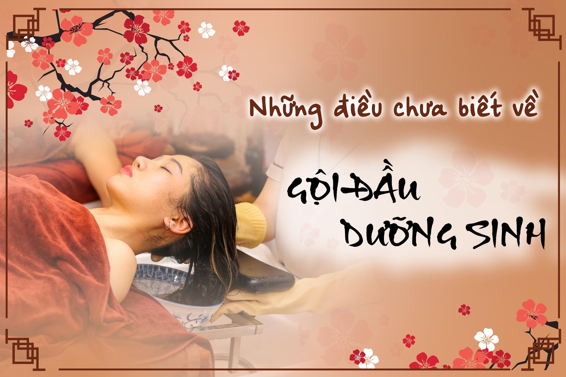 Dưỡng Sinh Trường Minh ảnh 1