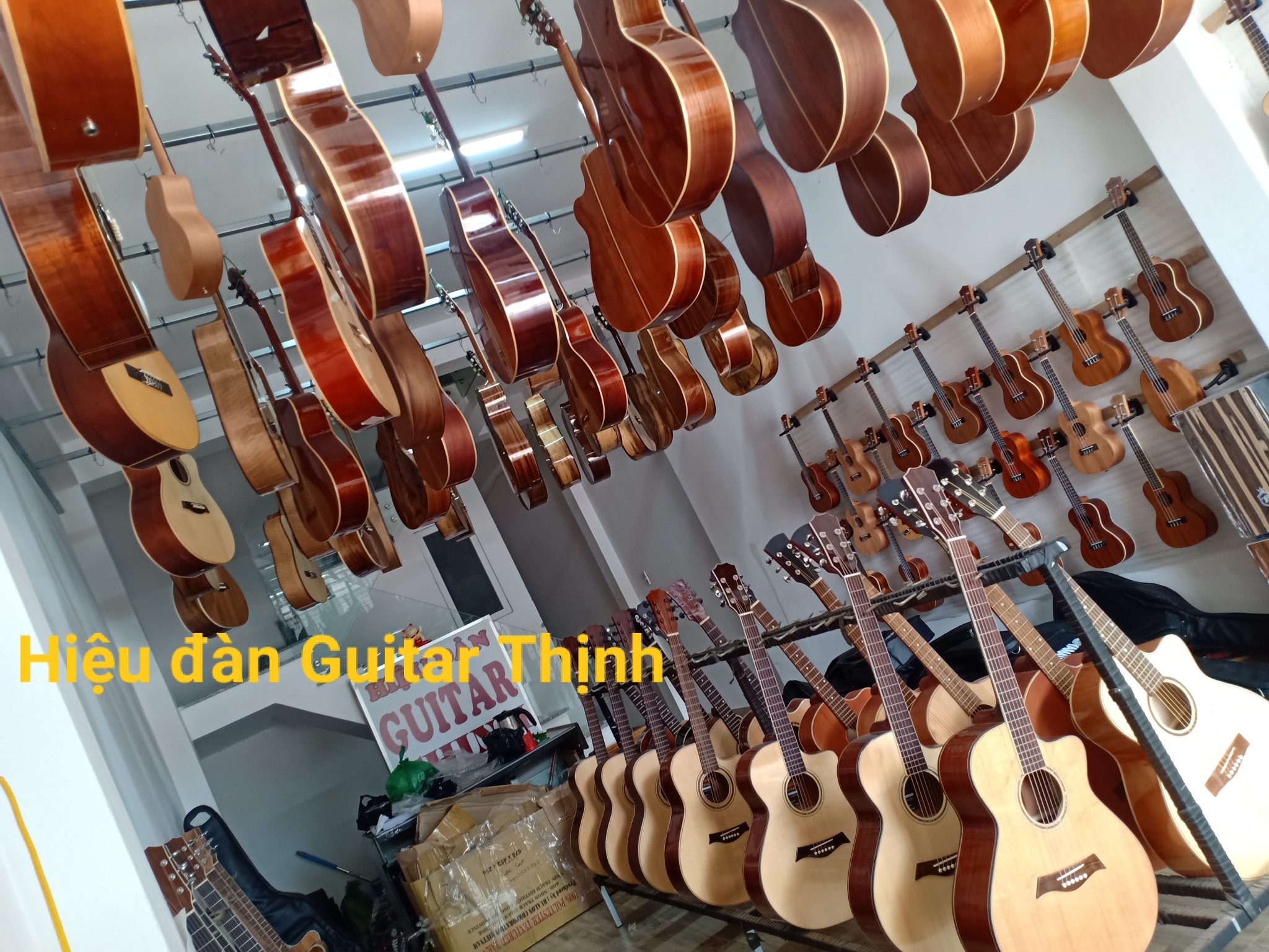 Guitar Thịnh ảnh 2