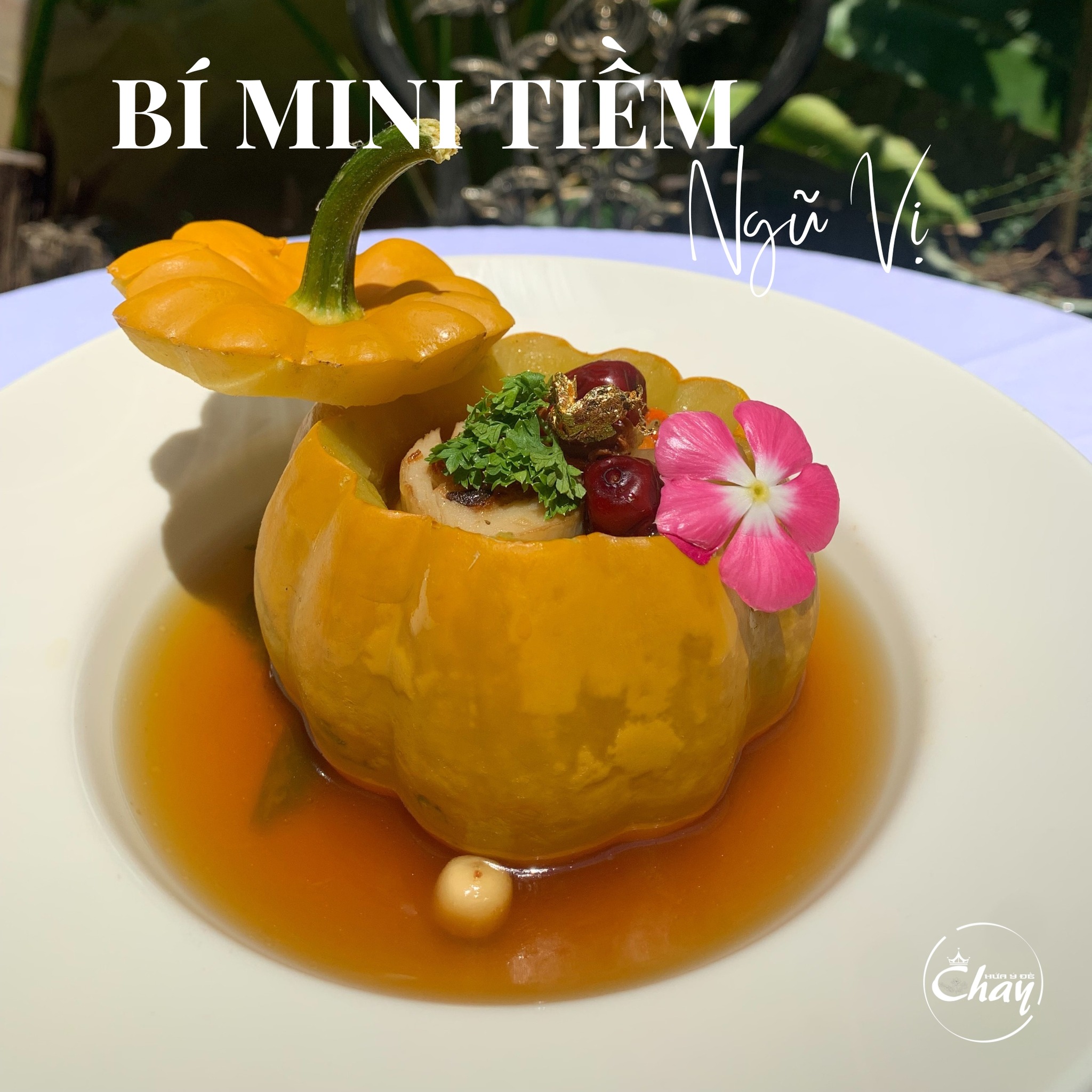 HỨA Ý ĐẾ CHAY ảnh 3