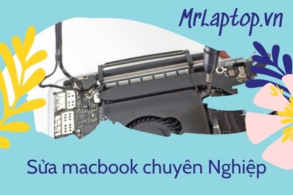 MrLaptop.vn ảnh 1