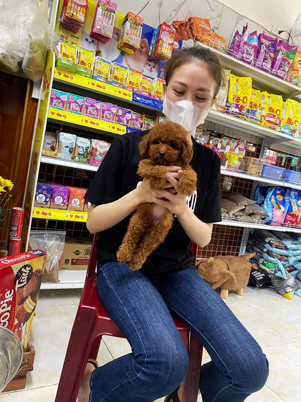 Kha Pet Shop ảnh 3