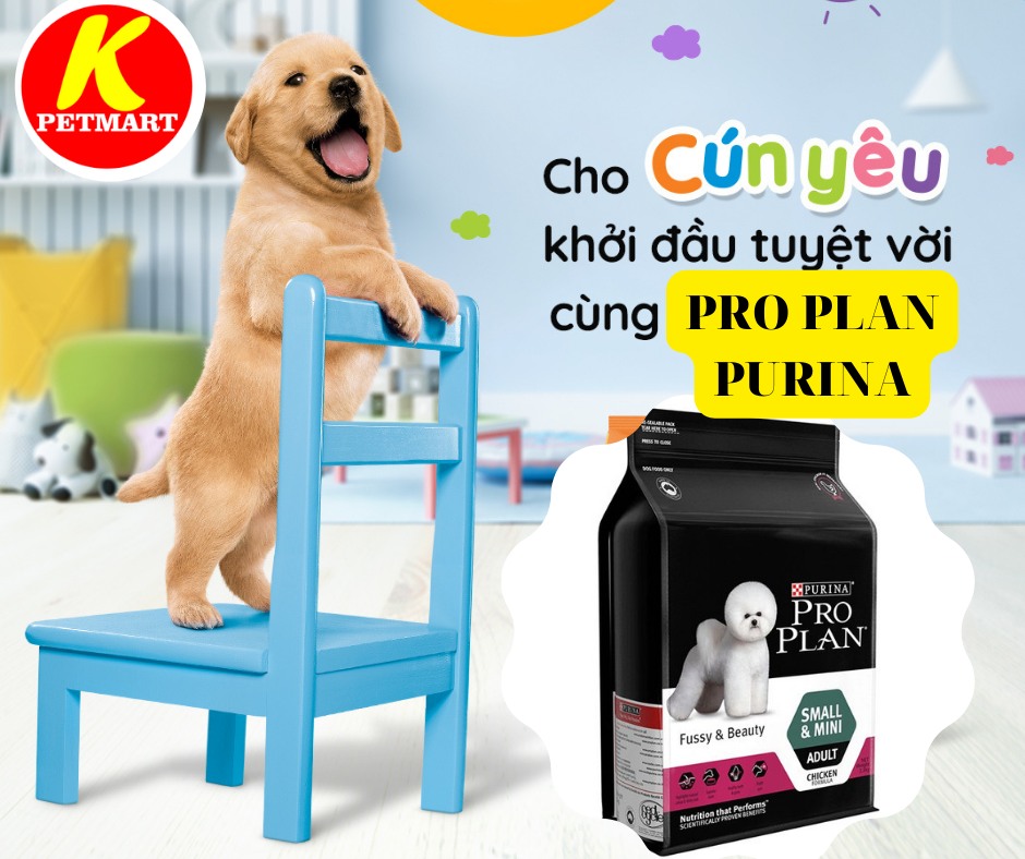 Siêu Thị Thú Cưng - KPETMART ảnh 3